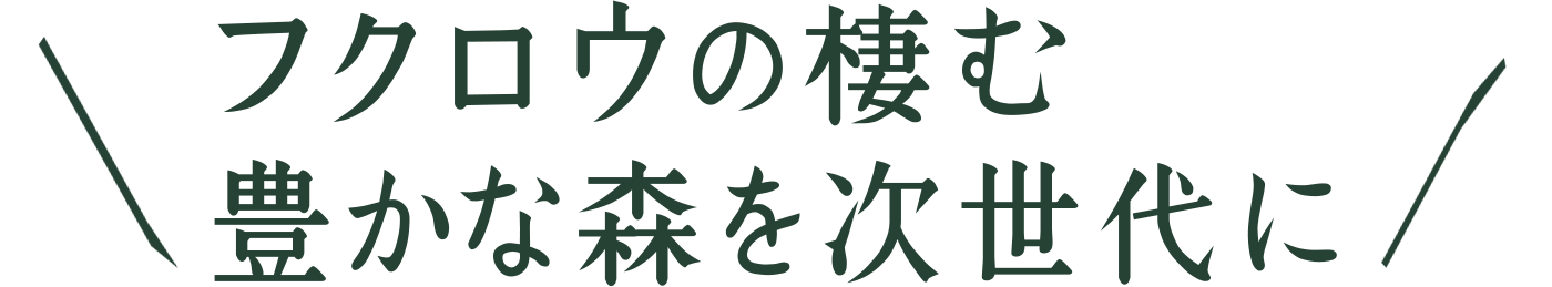 キャッチコピー